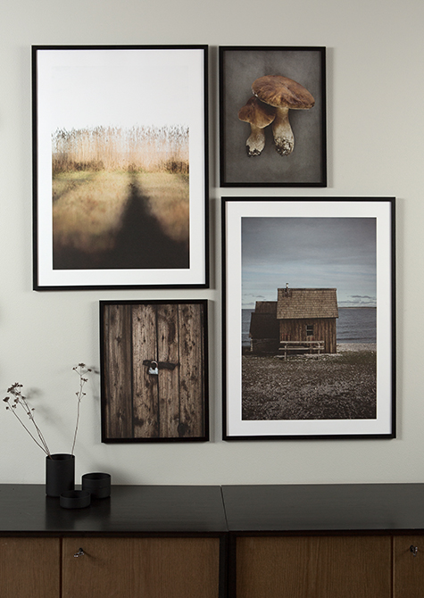 Poster Reed 30x40 cm - 4