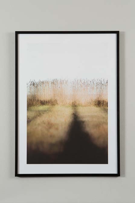 Poster Reed 30x40 cm - 3