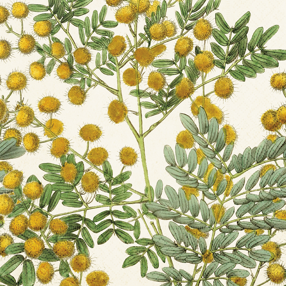 Servetter Mimosa 