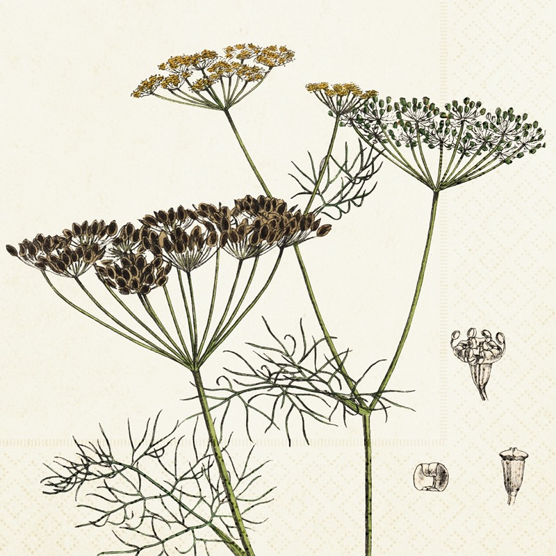 Servetter Dill
