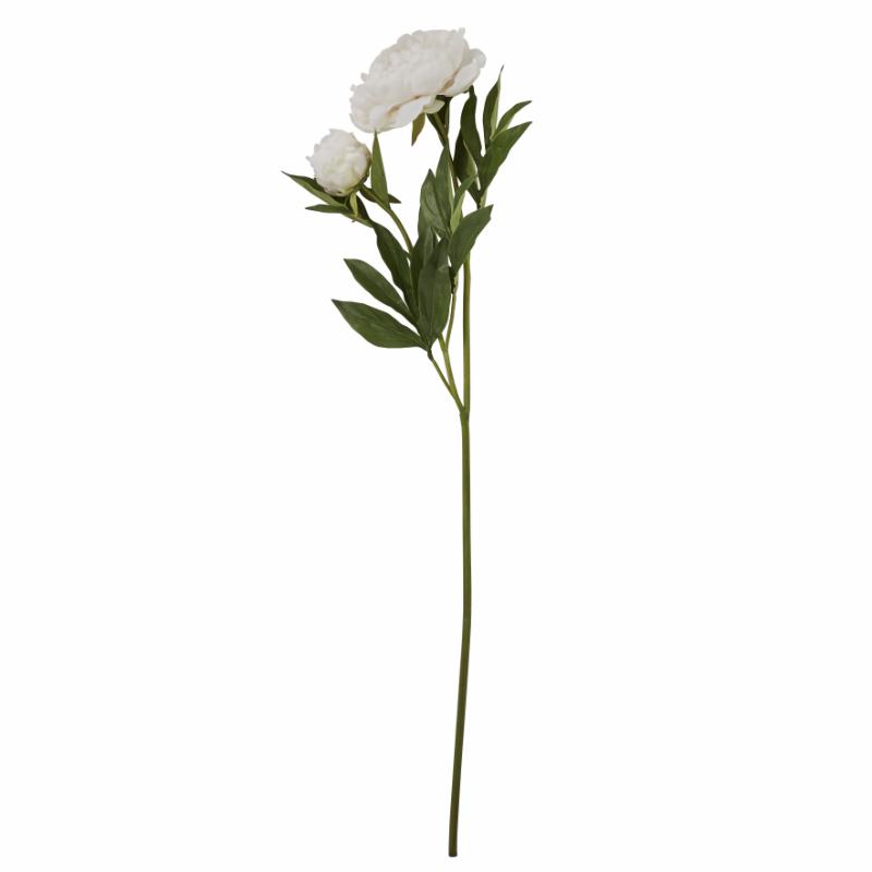 Pion konstväxt offwhite 