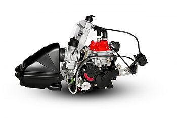 Rotax 125 Max Senior Evo