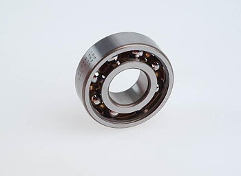 Ramlager 6202 