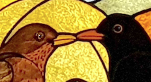 Koltrastpar 250 b