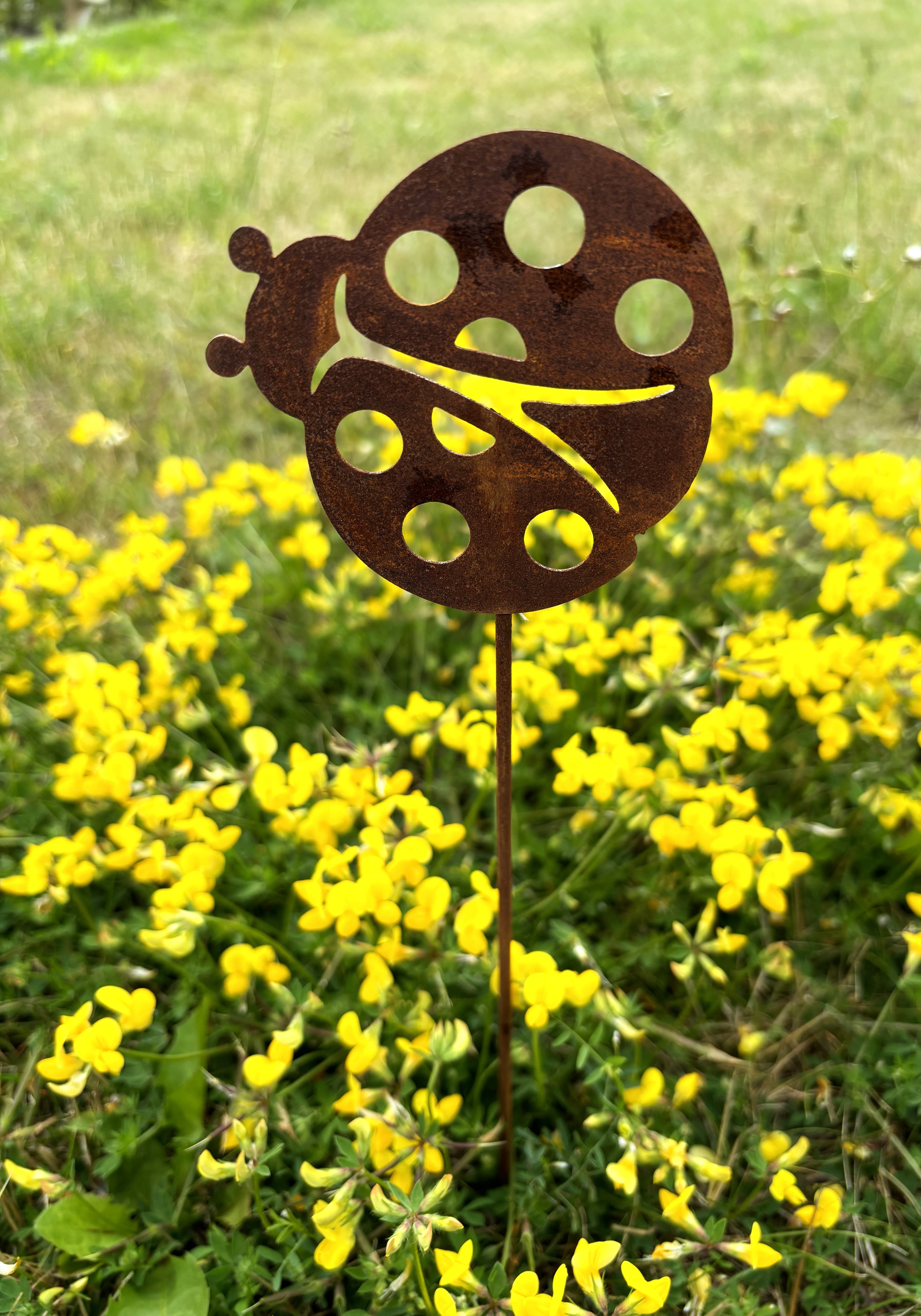 50% RABATT ÄR AVDRAGEN/Nyckelpiga blomsterstick/12 ST PER FÖRP