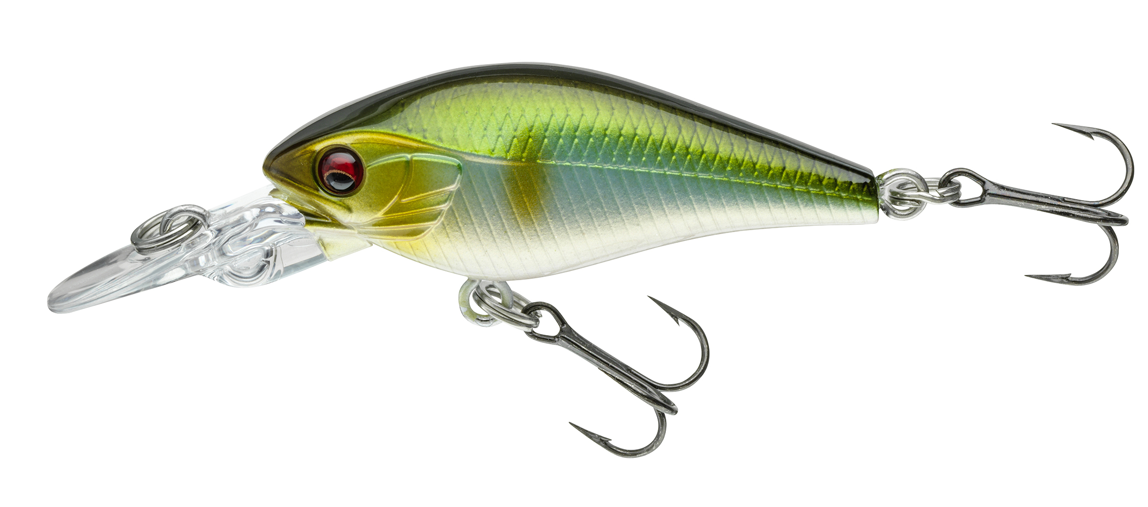 Daiwa PROREX Toddler Crank 60MR 9 - 10