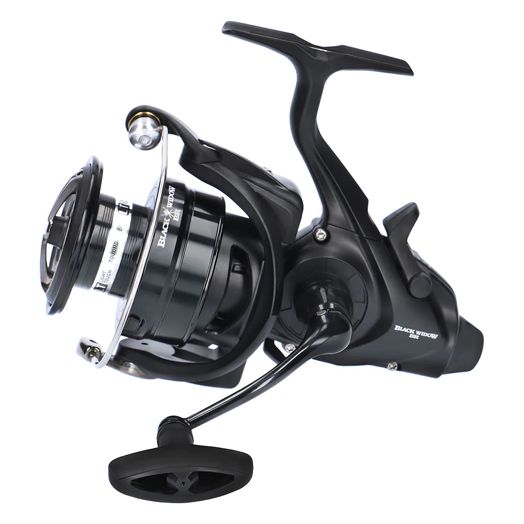 Daiwa 19 Black Widow BR LT 