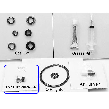 Exhaust valve set Anest Iwata ISP-50-1000