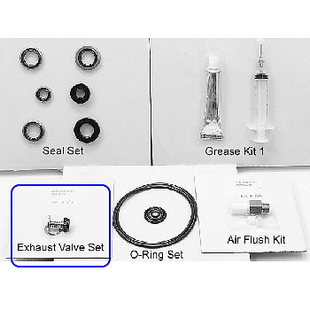 Exhaust valve set Anest Iwata ISP-50-1000