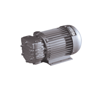 Trockenlaufende Drehschieber-Vakuumpumpe Mil's Arica 6VK 0,25 kW/1450 rpm 1-ph