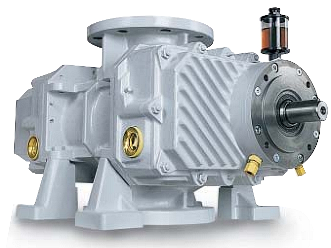 Roots pump Pedro Gil RNVB-25,20 , no motor