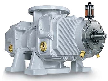 Wälzkolben-Vakuumpumpe Pedro Gil RNVB-25,20 , ohne motor