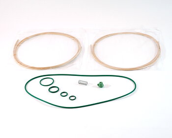 Tip seal kit Edwards XDS10