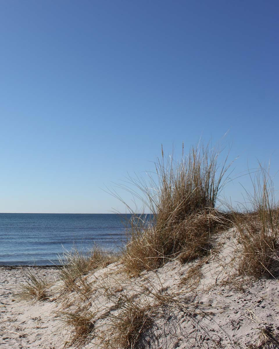 Opdag alle gåscootere Velkommen til Inwi Store – din førende destination for gåscootere i Danmark. Inspireret af en mand, hvis daglige ture med gåscooter langs havet ændrede hans liv, stræber vi efter at give alle den samme følelse af frihed med vores høj-kvalitets scootere. KØB NU!
