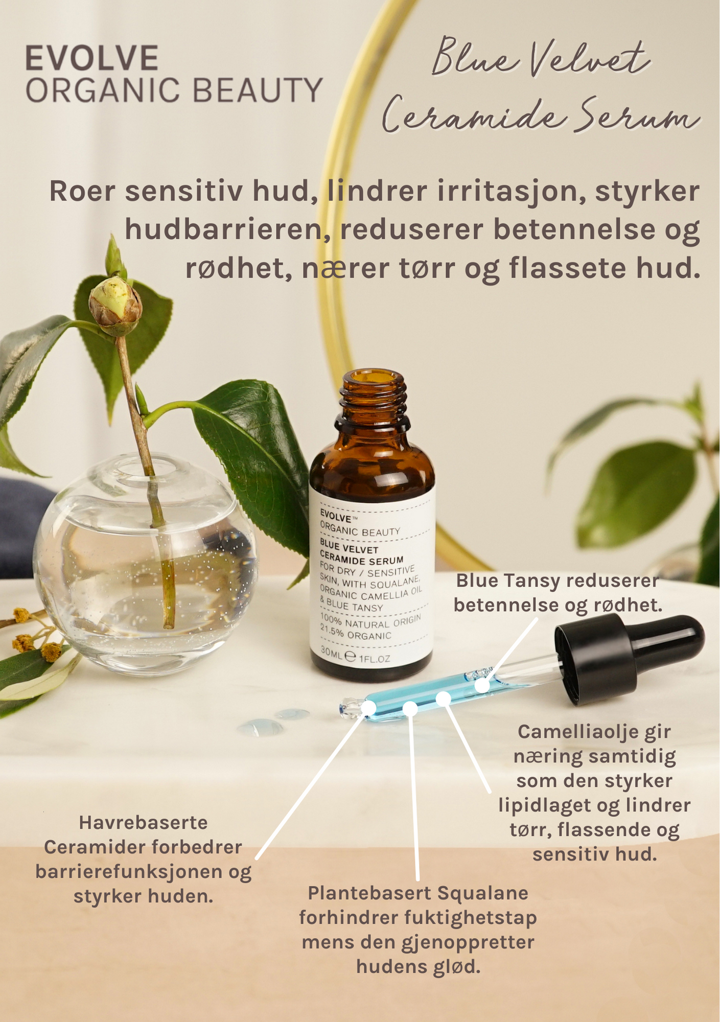 EVOLVE Blue Velvet Ceramide Serum 30ml - 2