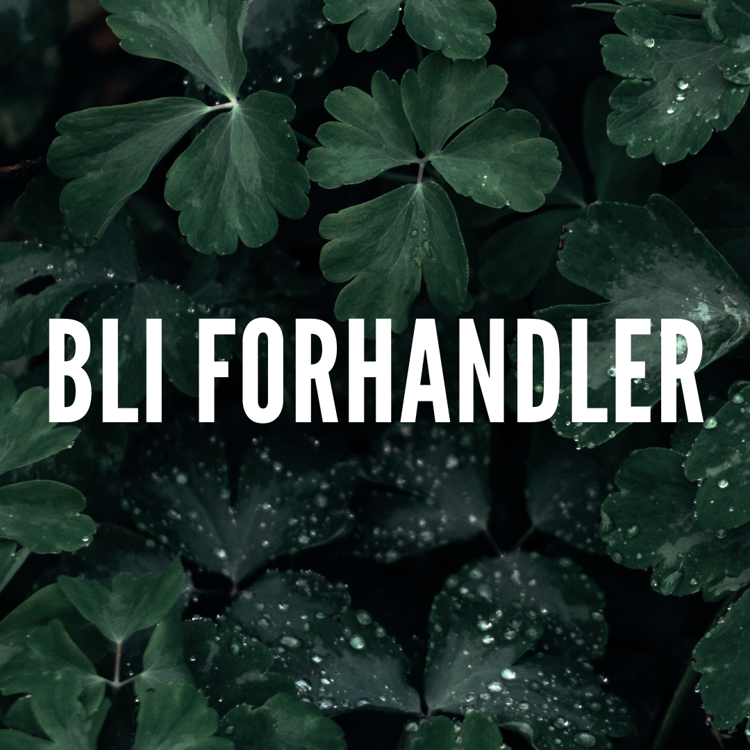 BLI FORHANDLER