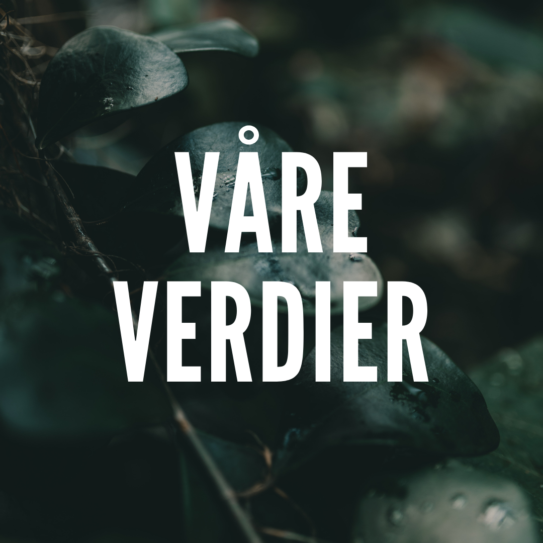 VÅRE VERDIER