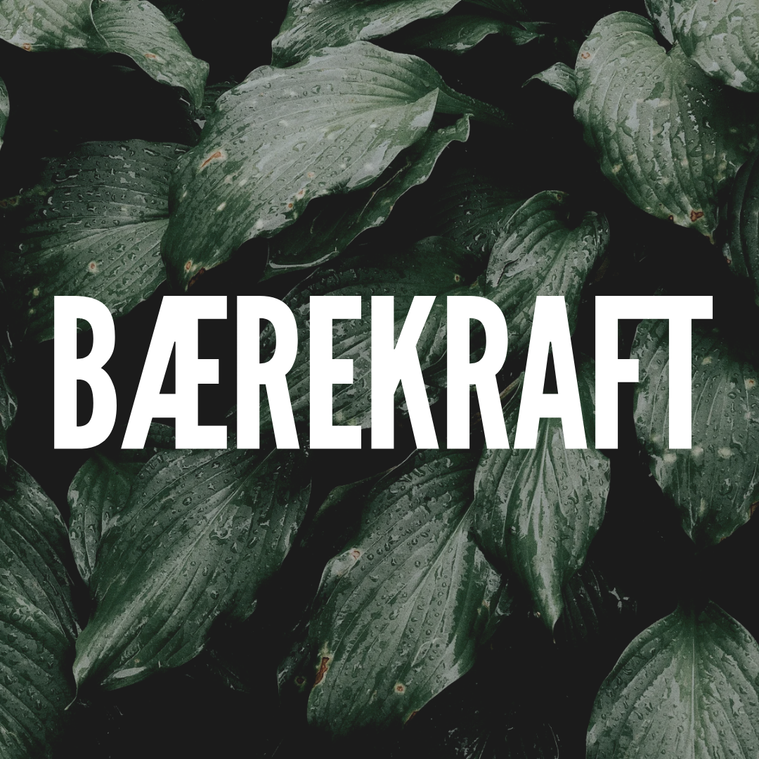 BÆREKRAFT