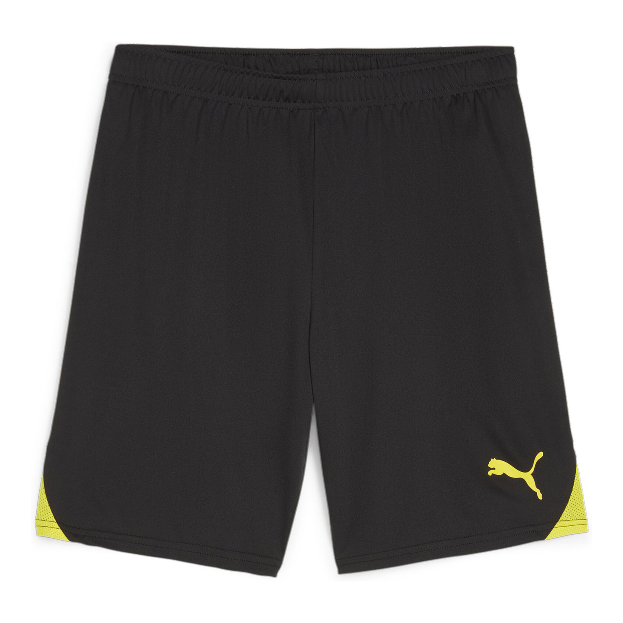 Puma Teamgoal Shorts Träningsshorts Sr (Knäred IK)