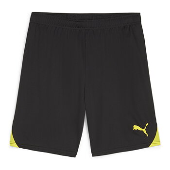 Puma Teamgoal Shorts Träningsshorts Sr (Knäred IK)