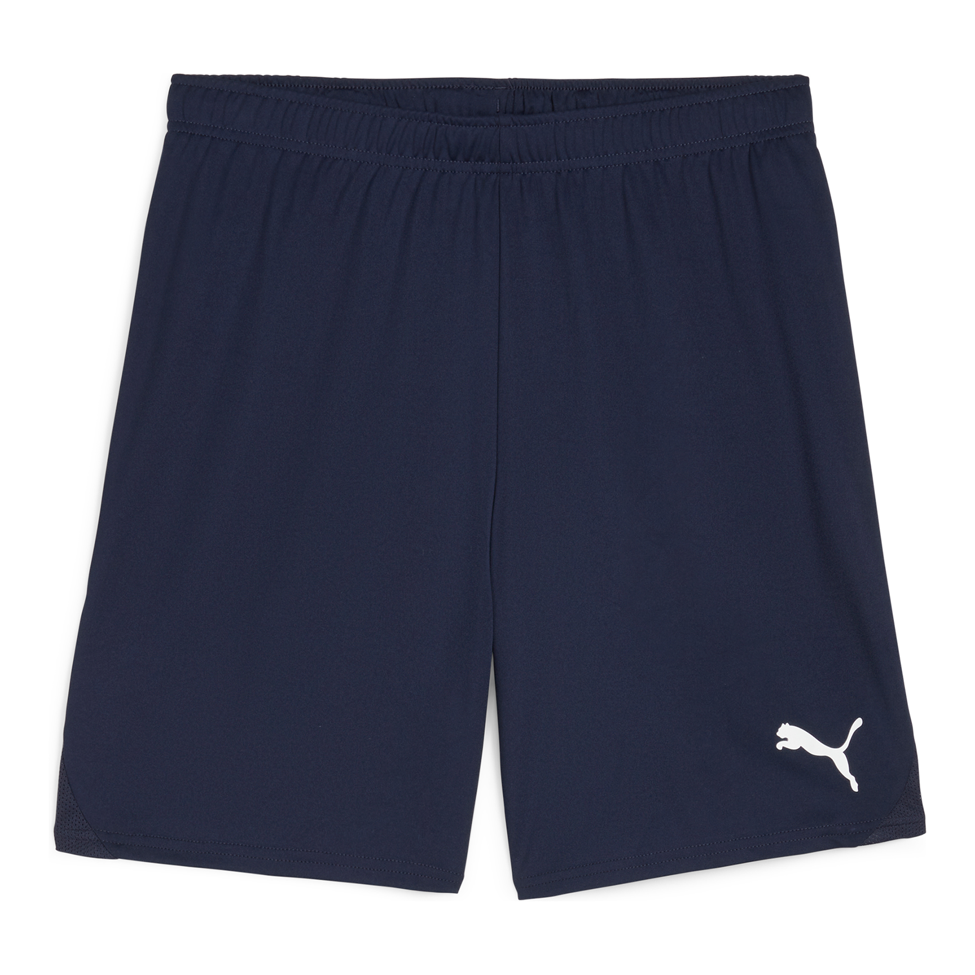 Puma Teamgoal Shorts Träningsshorts (Markaryd IF)
