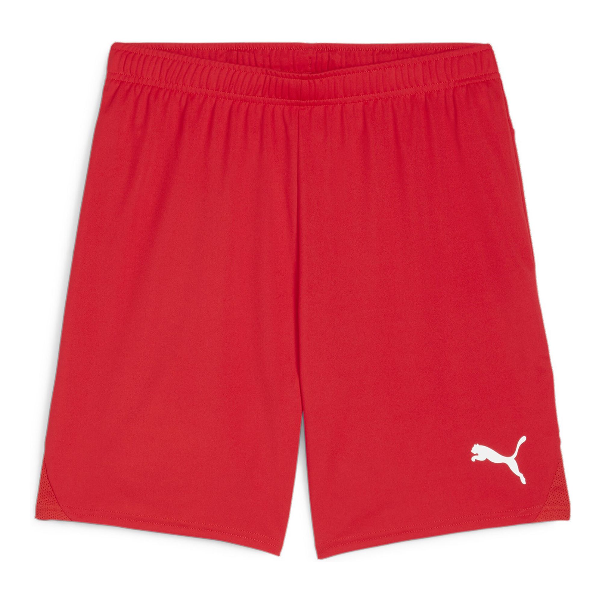 Puma Teamgoal Shorts Träningsshorts (Hallaryds IF)