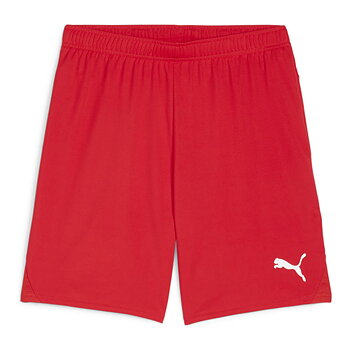 Puma Teamgoal Shorts Träningsshorts (Hallaryds IF)