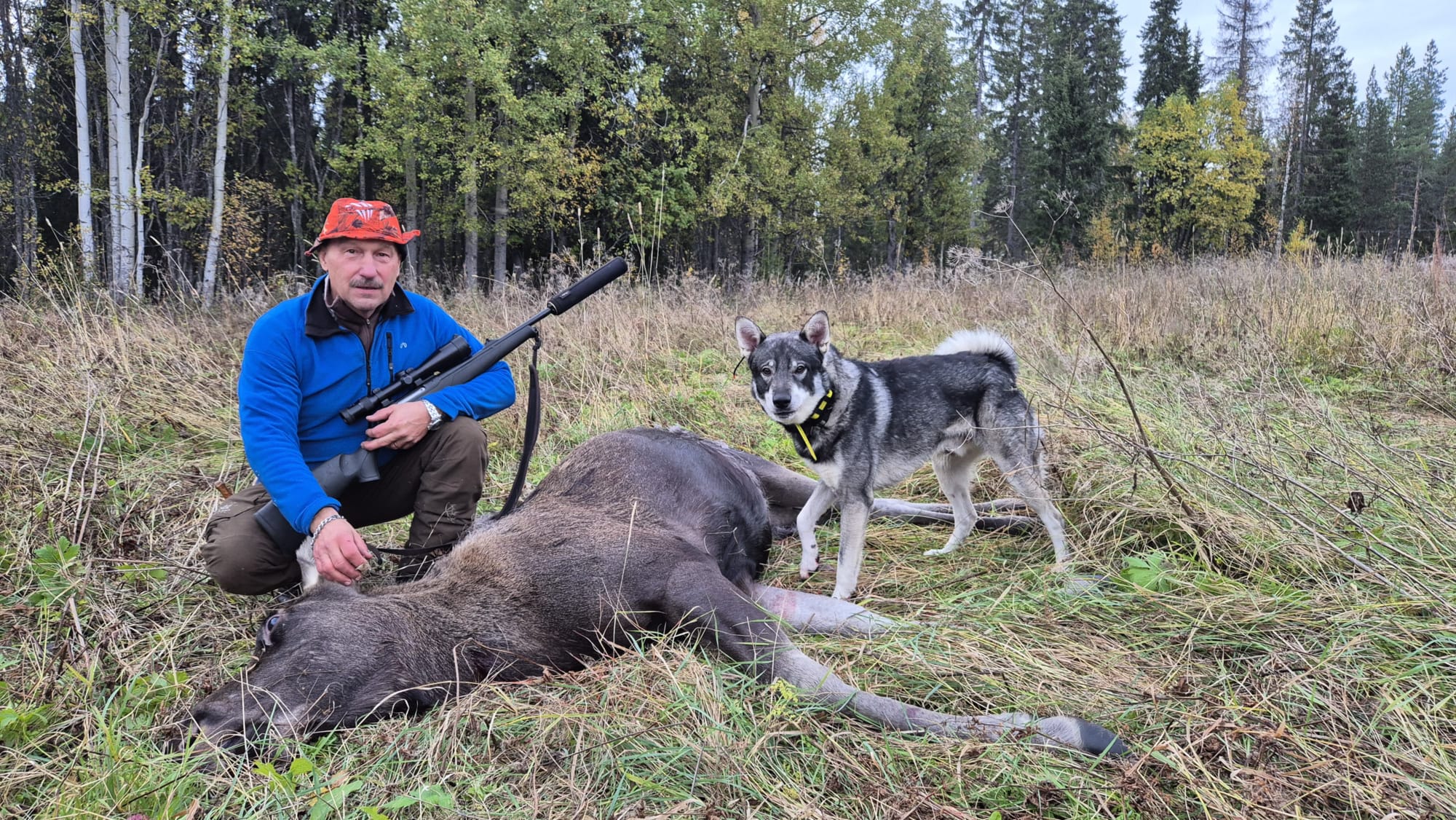 3 best premium bullets for hunting reloading  North Fork Bullets JBHunting in Sweden 2025 the best bullets for deer moose wild boar roe deer