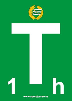 Time out kort med logo (handboll)