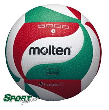 Volleyboll 5000 - Molten