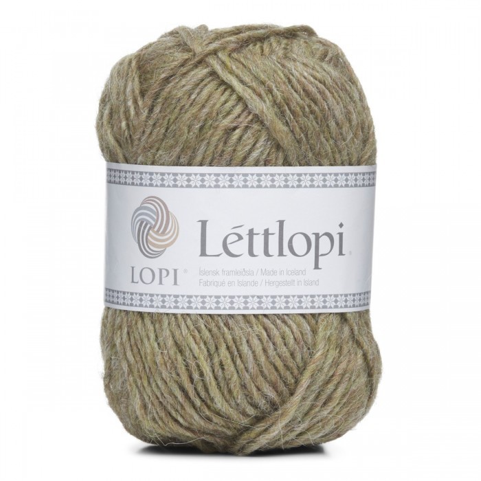 11417 Frostbite, Lettlopi