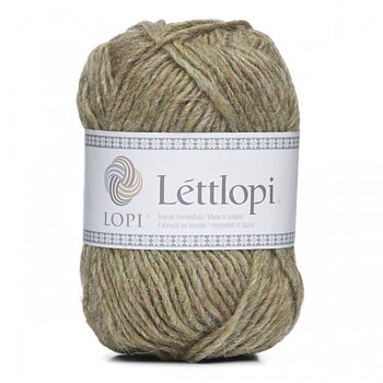11417 Frostbite, Lettlopi