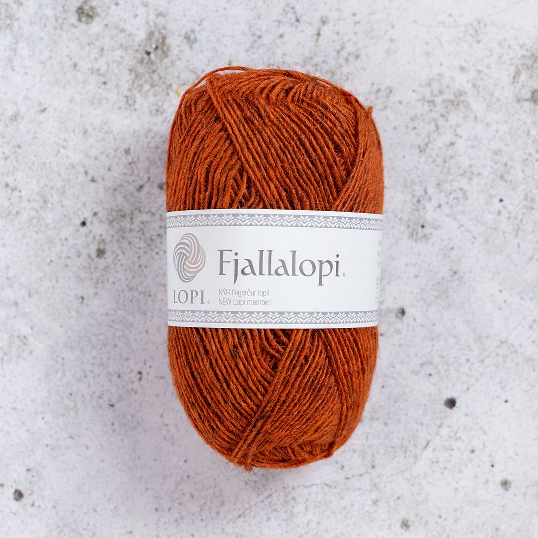 3042 Ginger, Fjallalopi