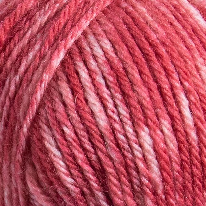 15205 Rose Hip Melange, Raggi - 2