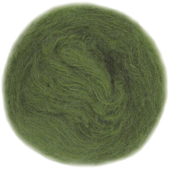 3206 Armygrön, Poppis