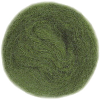 3206 Armygrön, Poppis