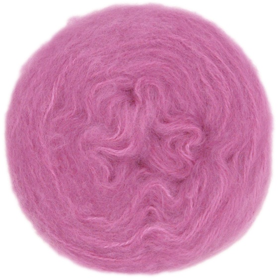 3208 Fuchsia, Poppis