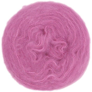 3208 Fuchsia, Poppis