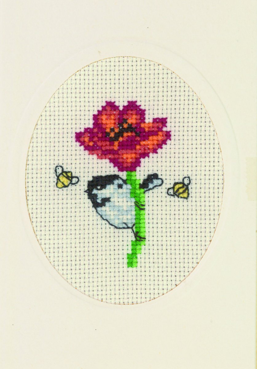 Blomsterkort, Vallmo