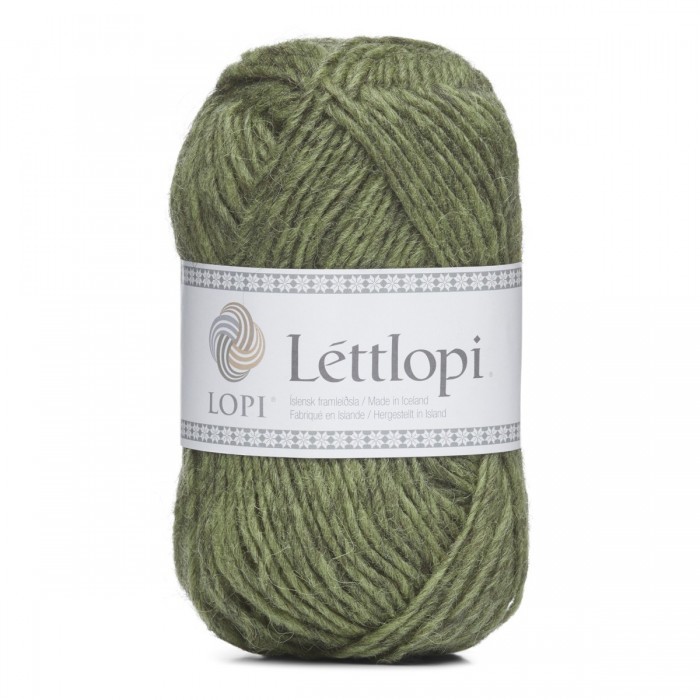 19421 Celery Green, Lettlopi