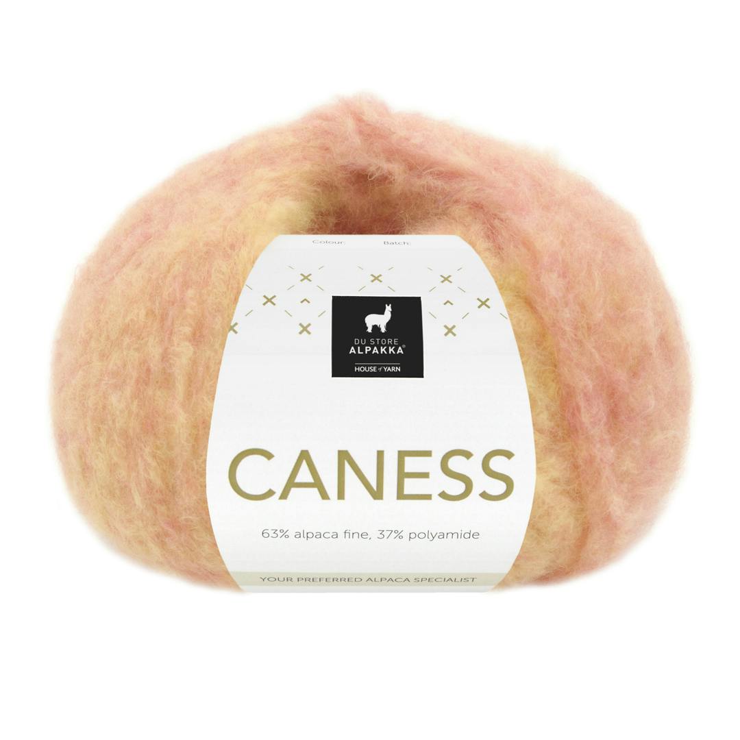 2503 Sunshine, Caness