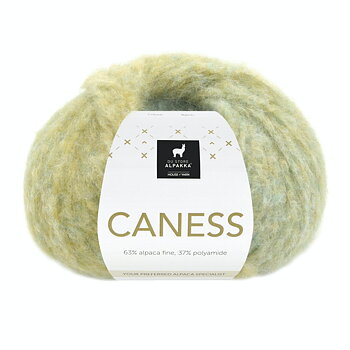 2504 Caribbean Kiwi, Caness