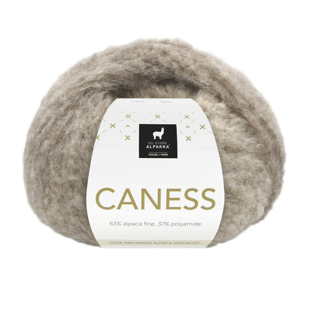 2507 Desert Heat, Caness