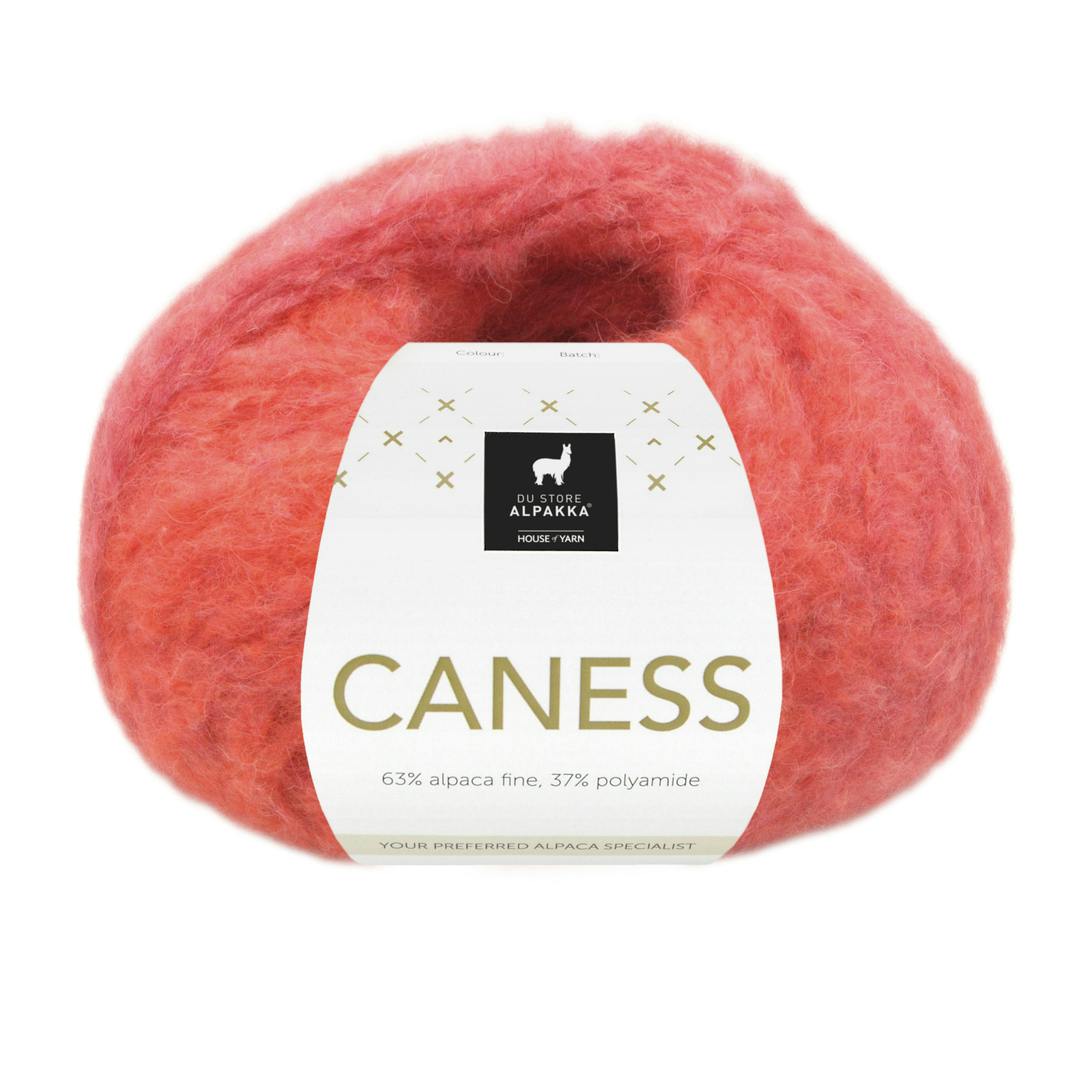 2509 Raspberry Beret, Caness