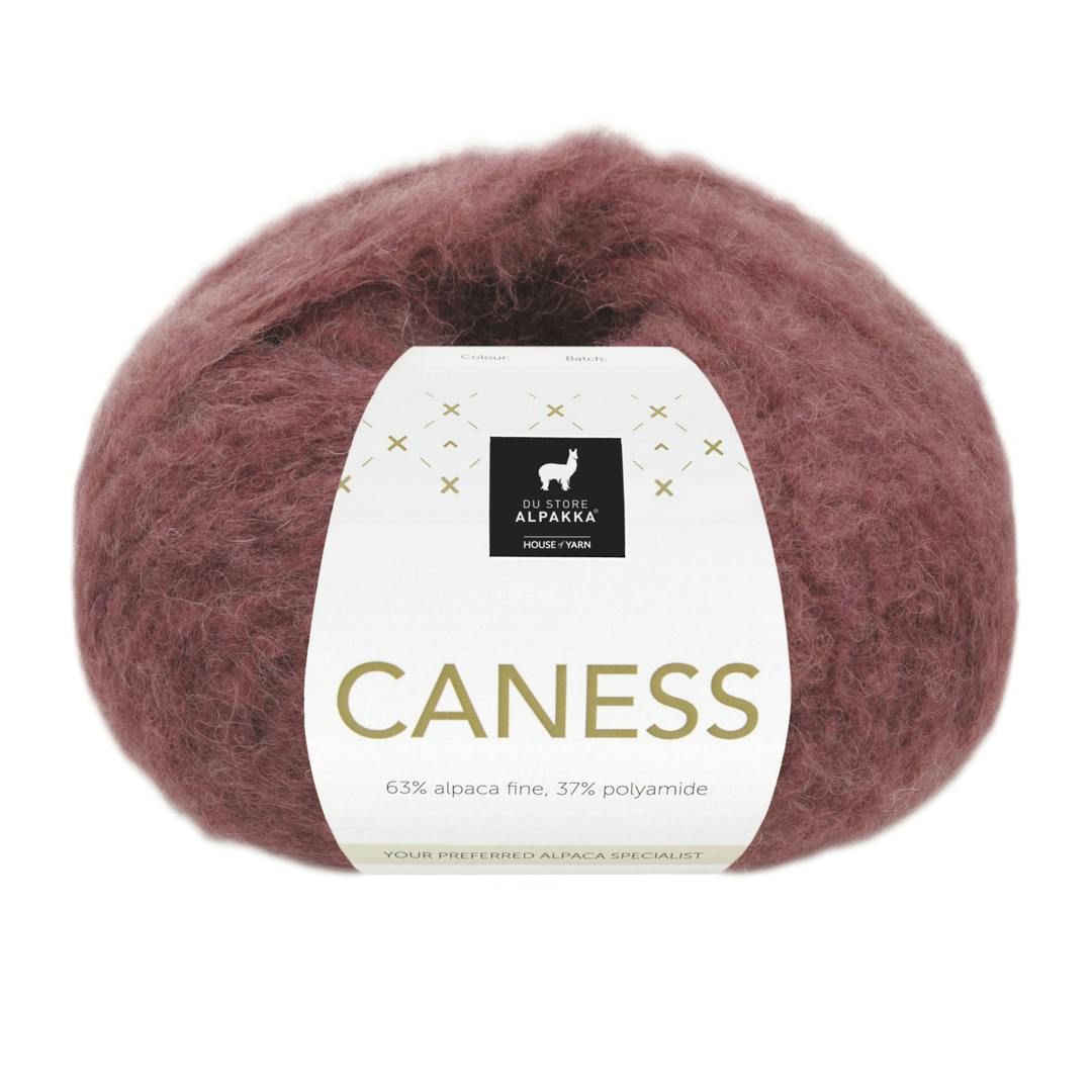 2510 Bordeaux, Caness