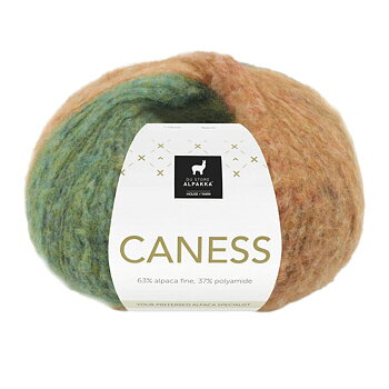 2511 Autumn Leaves, Caness