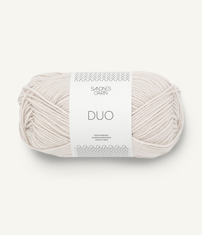 1015 Kitt, Duo