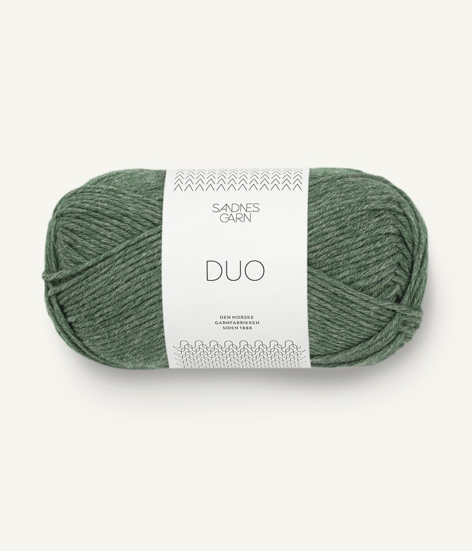 8072 Skogsgrön, Duo