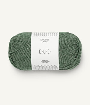 8072 Skogsgrön, Duo