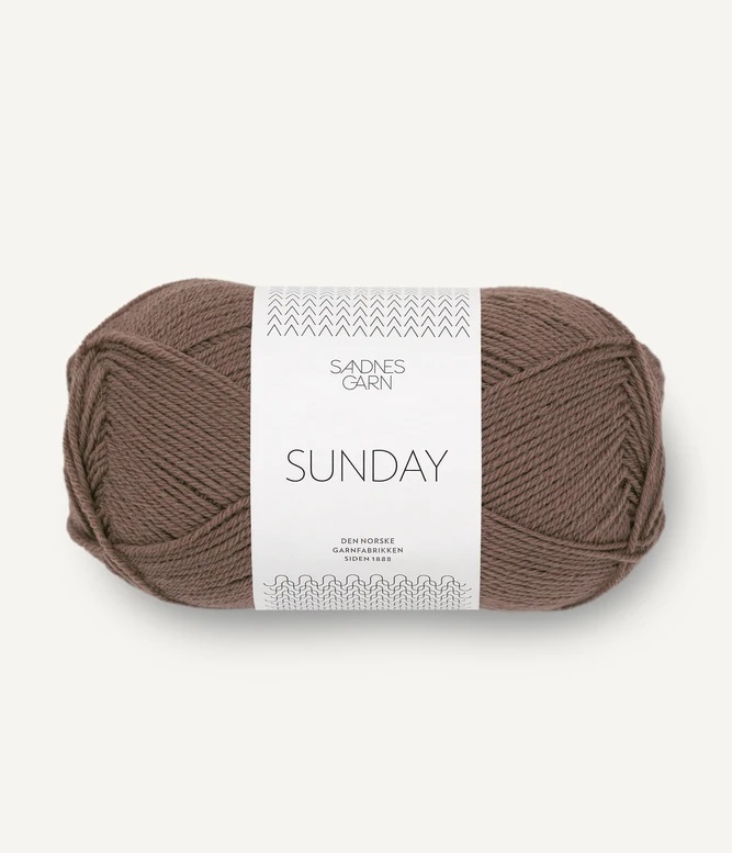 3161 Ekollon, Sunday